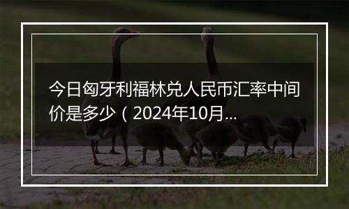 今日匈牙利福林兑人民币汇率中间价是多少（2024年10月30日）