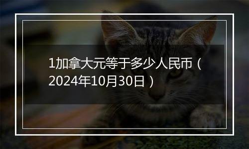 1加拿大元等于多少人民币（2024年10月30日）