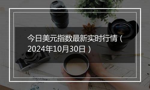 今日美元指数最新实时行情（2024年10月30日）