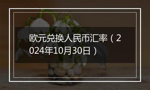 欧元兑换人民币汇率（2024年10月30日）