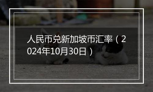 人民币兑新加坡币汇率（2024年10月30日）