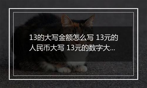 13的大写金额怎么写 13元的人民币大写 13元的数字大写