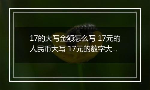 17的大写金额怎么写 17元的人民币大写 17元的数字大写