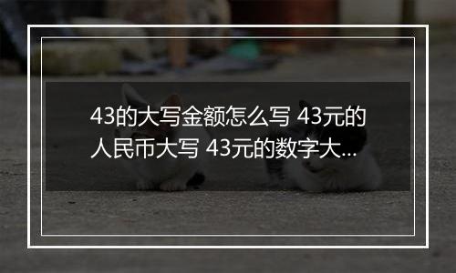 43的大写金额怎么写 43元的人民币大写 43元的数字大写