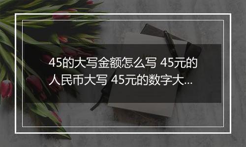 45的大写金额怎么写 45元的人民币大写 45元的数字大写