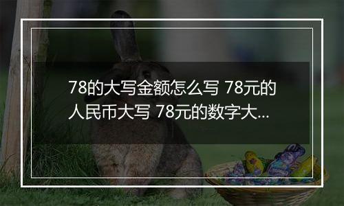 78的大写金额怎么写 78元的人民币大写 78元的数字大写