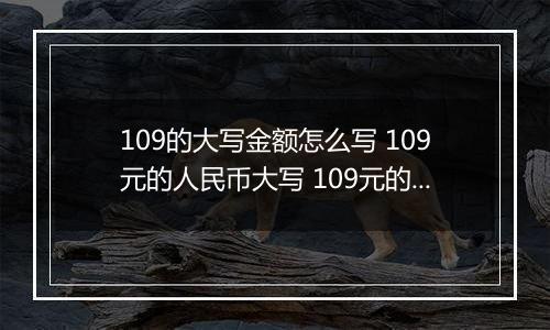 109的大写金额怎么写 109元的人民币大写 109元的数字大写