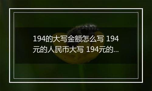 194的大写金额怎么写 194元的人民币大写 194元的数字大写