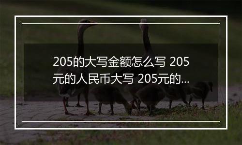 205的大写金额怎么写 205元的人民币大写 205元的数字大写