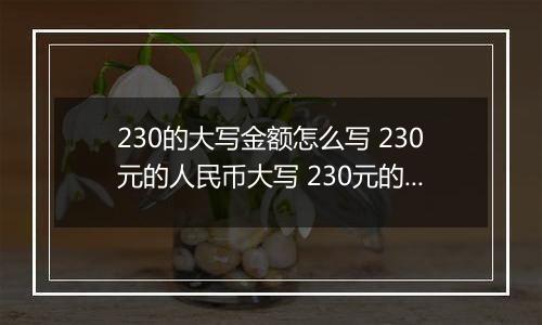 230的大写金额怎么写 230元的人民币大写 230元的数字大写