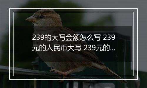 239的大写金额怎么写 239元的人民币大写 239元的数字大写