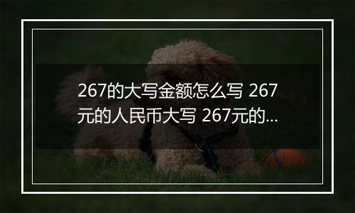 267的大写金额怎么写 267元的人民币大写 267元的数字大写