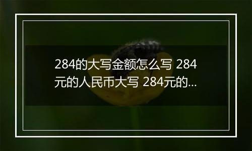 284的大写金额怎么写 284元的人民币大写 284元的数字大写