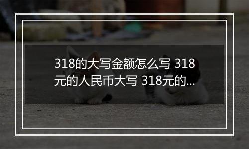 318的大写金额怎么写 318元的人民币大写 318元的数字大写