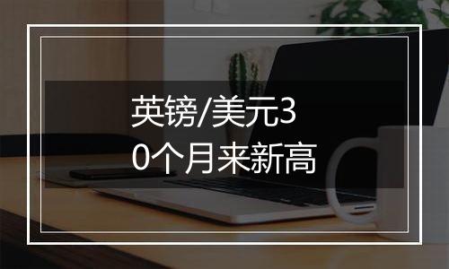 英镑/美元30个月来新高