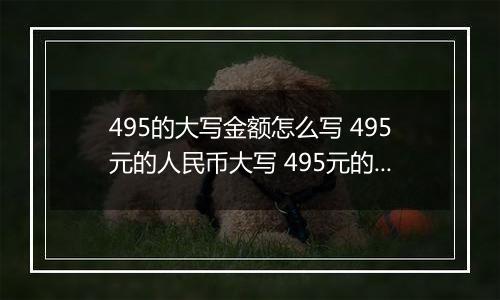 495的大写金额怎么写 495元的人民币大写 495元的数字大写