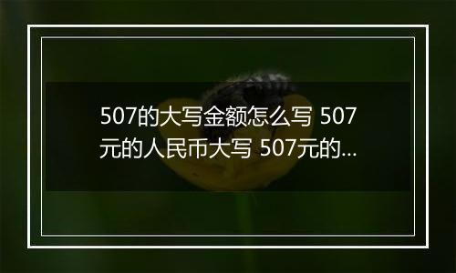 507的大写金额怎么写 507元的人民币大写 507元的数字大写