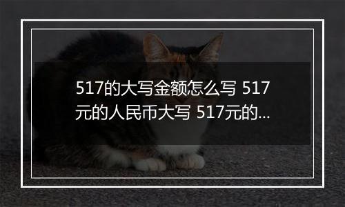 517的大写金额怎么写 517元的人民币大写 517元的数字大写