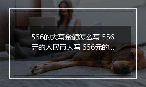 556的大写金额怎么写 556元的人民币大写 556元的数字大写