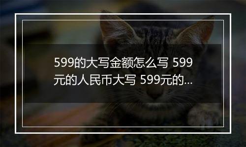 599的大写金额怎么写 599元的人民币大写 599元的数字大写