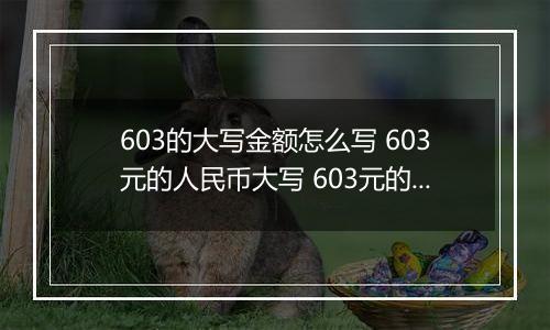 603的大写金额怎么写 603元的人民币大写 603元的数字大写