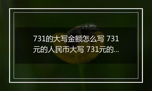 731的大写金额怎么写 731元的人民币大写 731元的数字大写