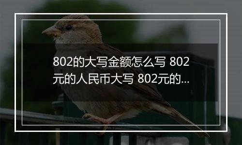 802的大写金额怎么写 802元的人民币大写 802元的数字大写