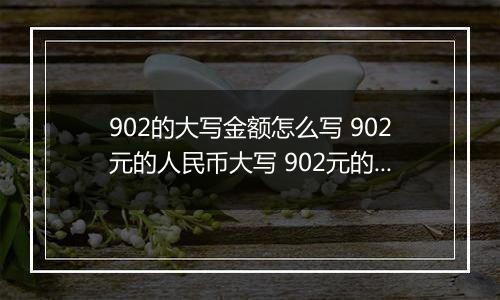 902的大写金额怎么写 902元的人民币大写 902元的数字大写