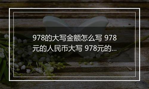 978的大写金额怎么写 978元的人民币大写 978元的数字大写