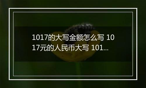 1017的大写金额怎么写 1017元的人民币大写 1017元的数字大写