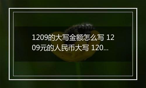 1209的大写金额怎么写 1209元的人民币大写 1209元的数字大写