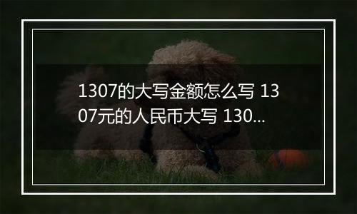 1307的大写金额怎么写 1307元的人民币大写 1307元的数字大写