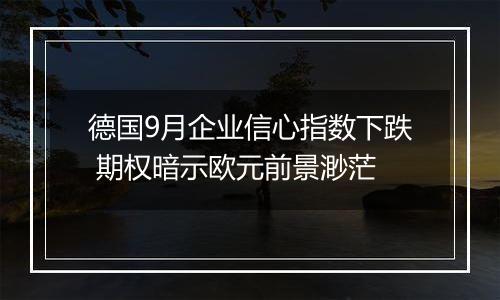 德国9月企业信心指数下跌 期权暗示欧元前景渺茫