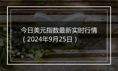 今日美元指数最新实时行情（2024年9月25日）