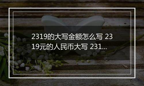 2319的大写金额怎么写 2319元的人民币大写 2319元的数字大写