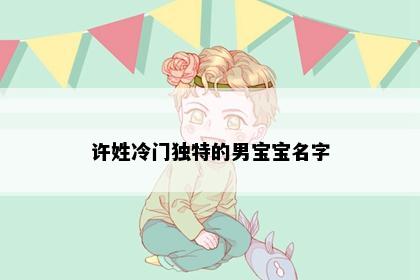 许姓冷门独特的男宝宝名字